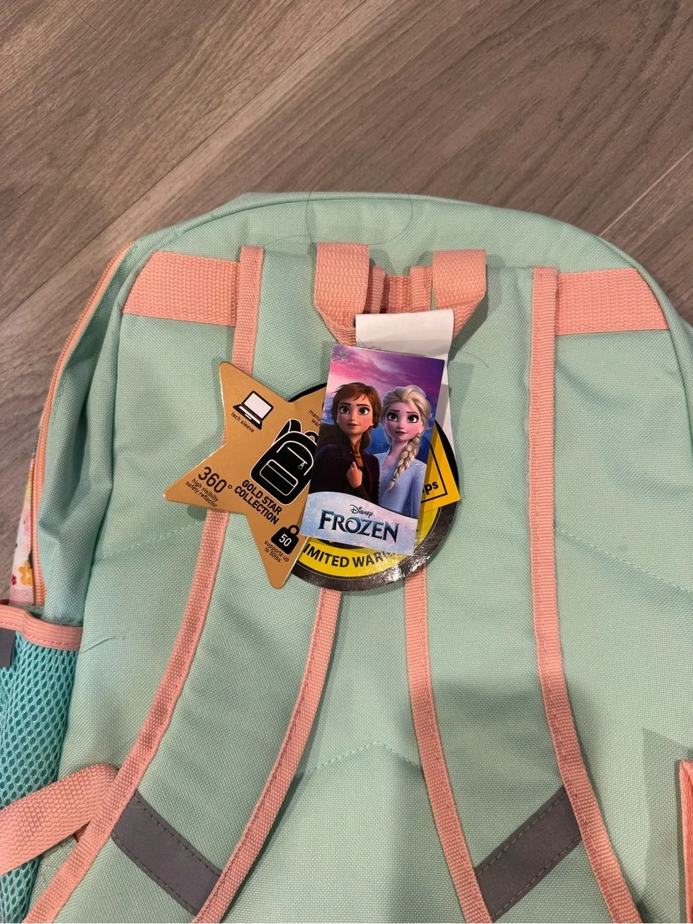 Frozen Sisters Kids Backpack - Pink Mint Holographic